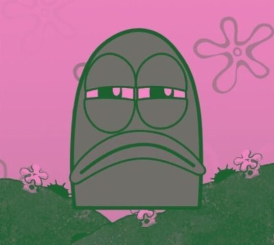 Foto profil pink dan hijau