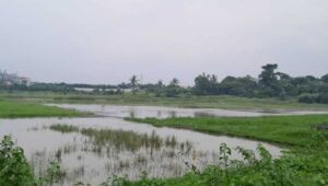 Usut Tuntas Kasus Rancagede