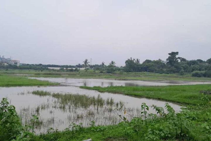 Kasus Situ Rancagede Tamat Kasus Situ Rancagede Tamat