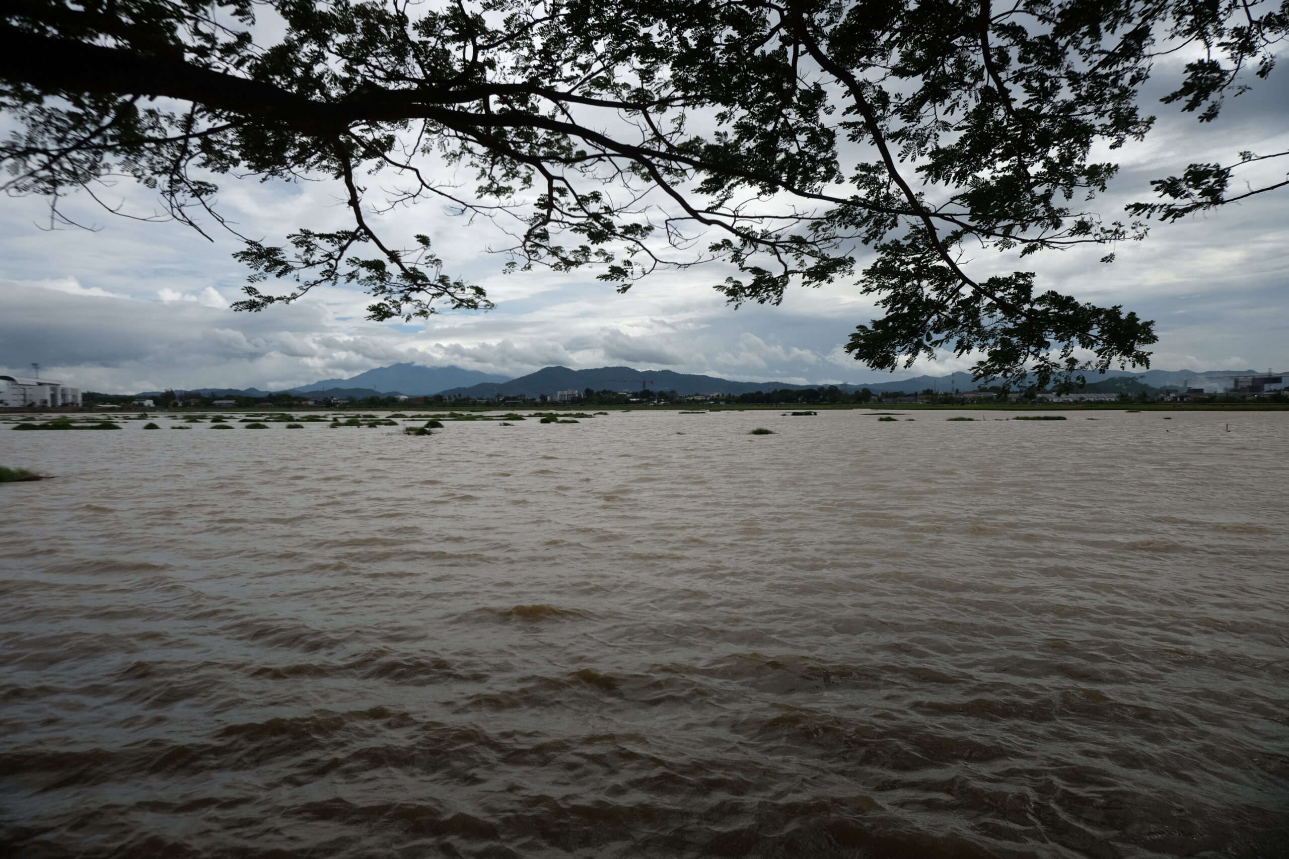 Doni Serang Hektaran Sawah di Cilegon Terendam Banjir 1 scaled