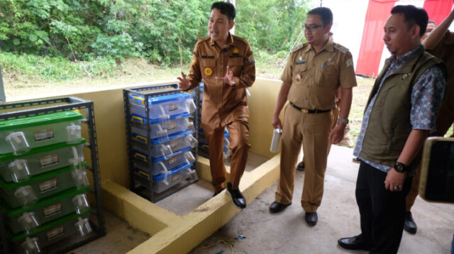 Doni - Serang - Rumah Magot Hasilkan Pakan Ternak dan Urai Sampah Organik Hingga Ratusan Kilo Per Bulan 2 Doni Serang Rumah Magot Hasilkan Pakan Ternak dan Urai Sampah Organik Hingga Ratusan Kilo Per Bulan 2