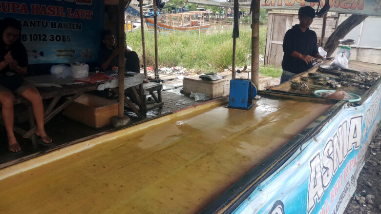 Sepekan Ikan Laut Langka Doni Serang Sepekan Ikan Laut Langka 1