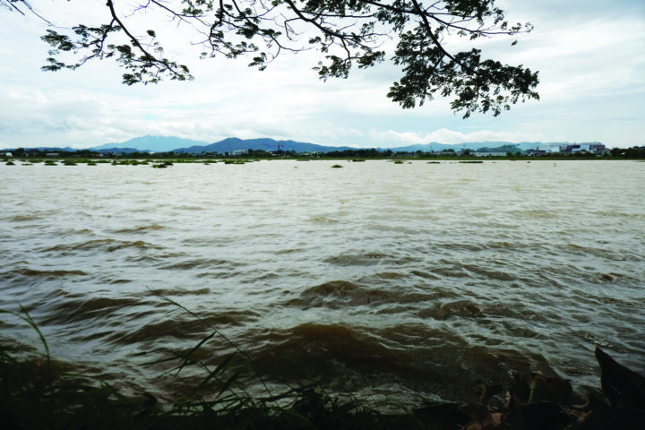 Dampak Banjir, 178,5 Hektare Sawah Gagal Panen