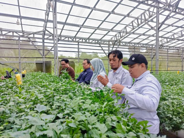 cbb8d33e f075 43c4 a89f 399b199fab59