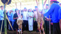 Pemkab Serang Potong 1.000 Hewan Kurban