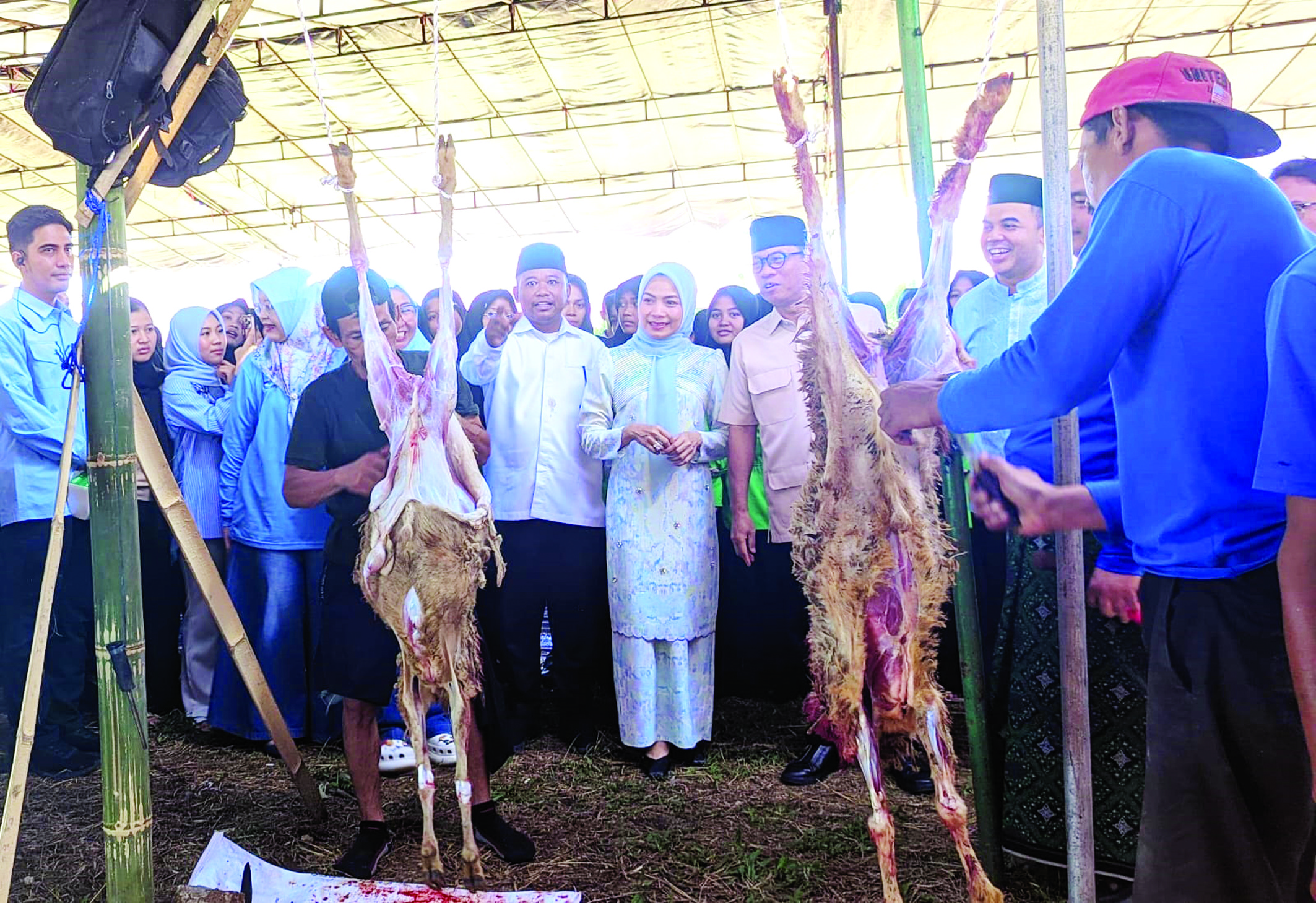 Pemkab Serang Potong 1.000 Hewan Kurban