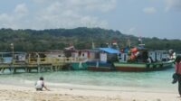 Pegawai TNUK Tewas Diterkam Buaya di Pulau Peucang