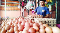 MBG Disetop, Harga Sembako Turun MBG Disetop, Harga Sembako Turun