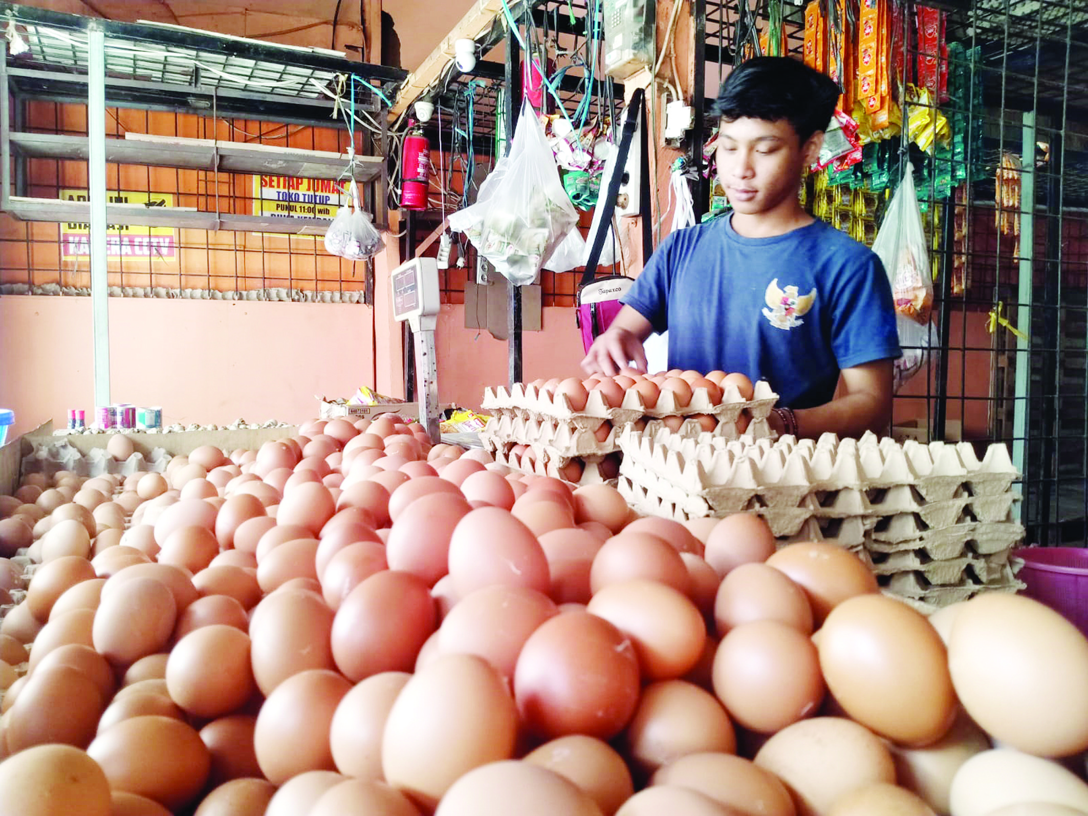 MBG Disetop, Harga Sembako Turun