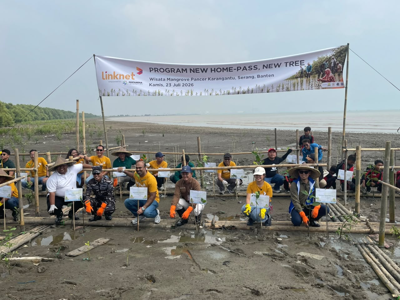 Prosesi penanaman bibit pohon mangrove di pesisir Kota Serang yang dilakukan Pertamina Foundation bersama PT Link Net Tbk (Linknet), Pemerintah Kota Serang, dan Pemuda Tani Indonesia Kota Serang, Kamis (23/7/2026). (Dokumentasi istimewa)