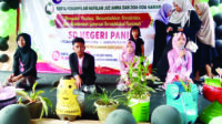 SDN Paniis Gelar Pentas Seni Kreasi Siswa