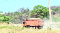 800 Hektare Hutan Lindung Dicaplok Tambang