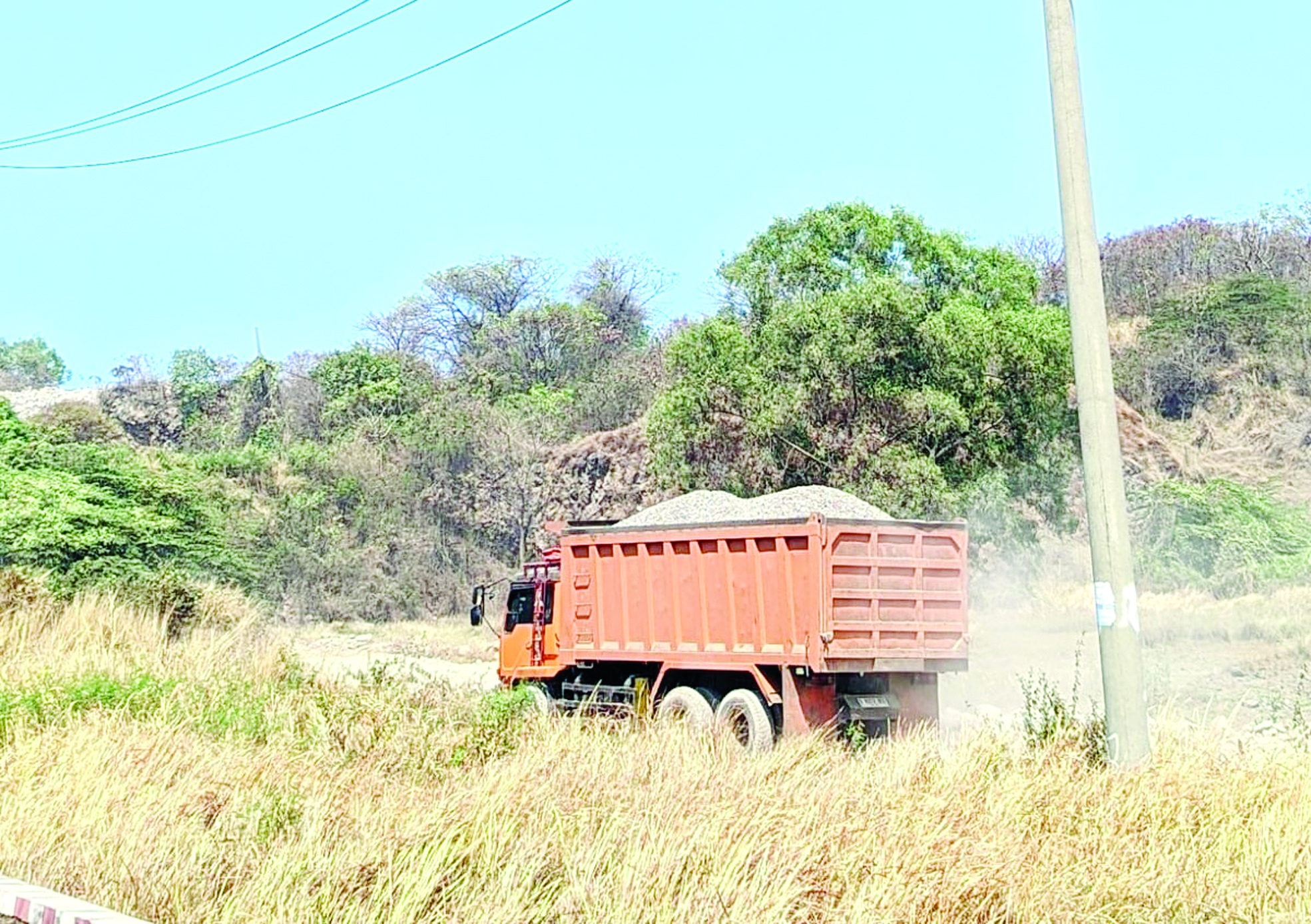 800 Hektare Hutan Lindung Dicaplok Tambang