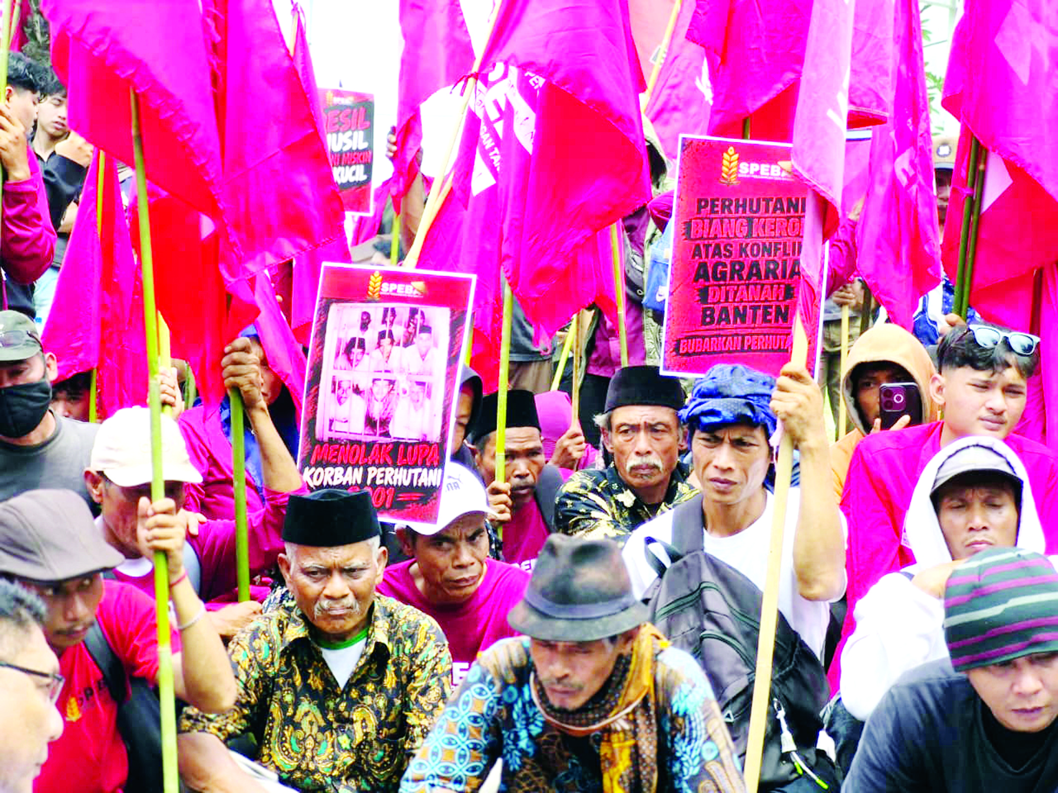 Serapan Pupuk Subsidi di Banten Baru 40 Persen